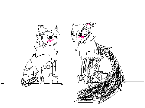 night and weevil :>