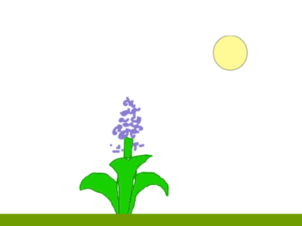 ~+Wild+~ A silent animation