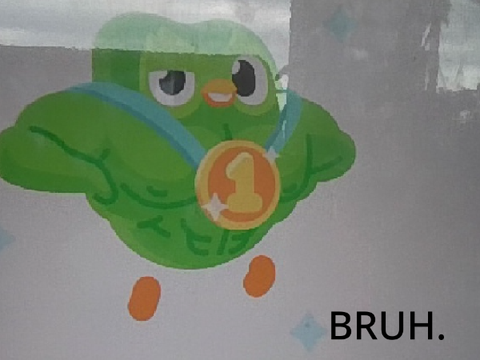 my cursed duolingo