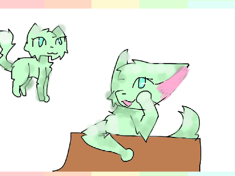 dtae
