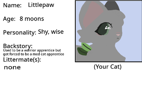 Med Cat Academy Sign-up sheet remix