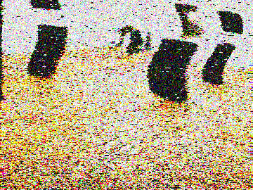 Full Do You Like Air Conditioning but with a VHS effect
