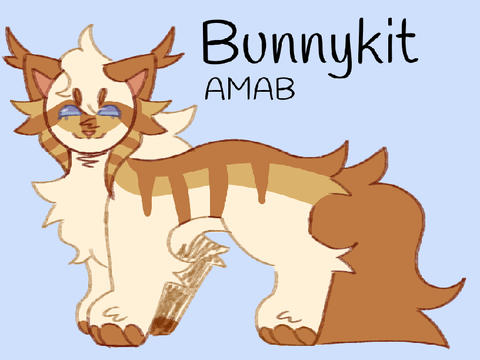 “Fast Like a Bunny” A Bunny Application 