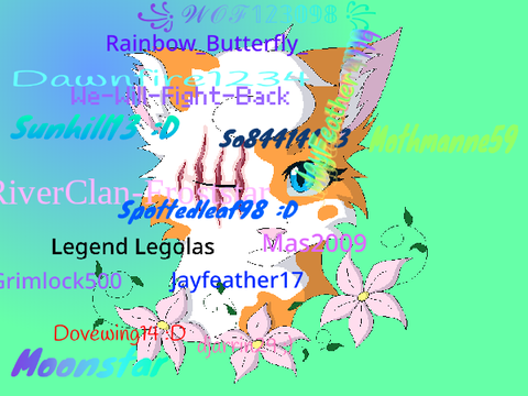 SIGN IF YOU LOVE WARRIOR CATS 