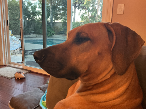 Art/photo dump 