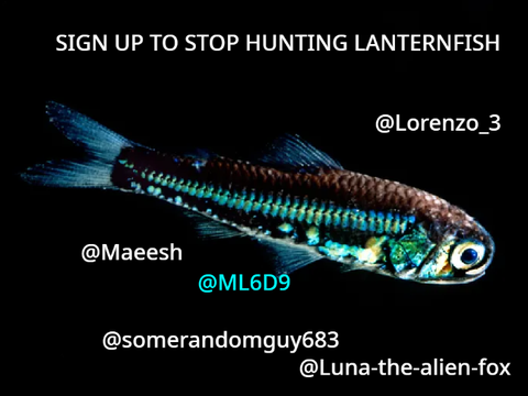 STOP HUNTING Lanternfish 