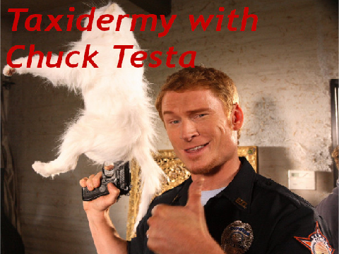 Taxidermy with Chuck Testa