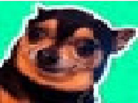 get this viral for no reason