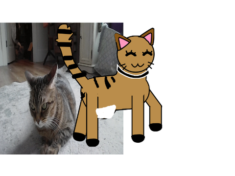 my cat is  fat (ㆁωㆁ)