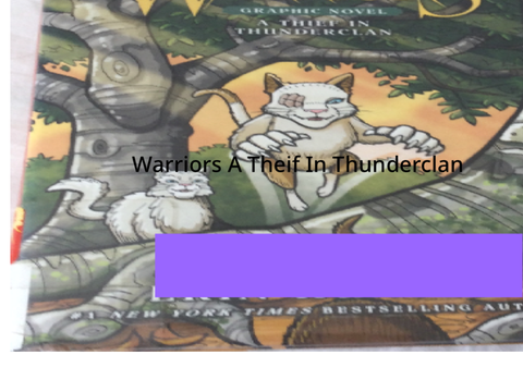 The Warrior Cats book im done reading!