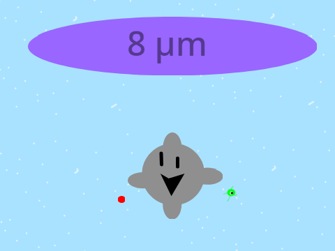 Double Grey Goo's Size [3]