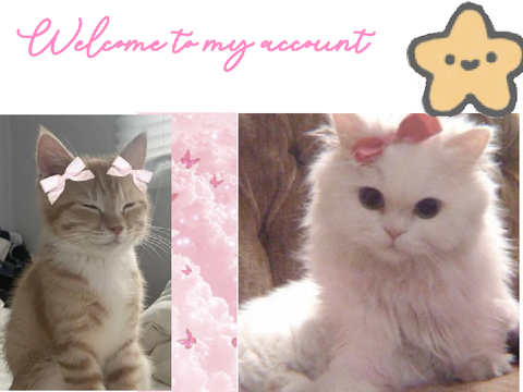 ~my account~