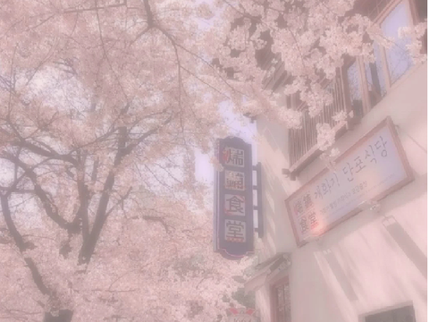 aesthetic