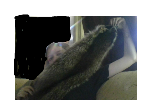 I bought a raccoon