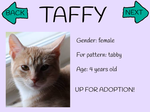 pet adoption center!!!