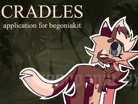 ❀⋆.ೃ࿔*:･ cradles .☘︎ ݁˖ application for begoniakit