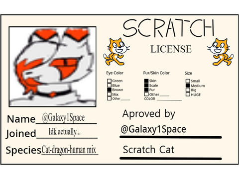 Make Your Own Scratch License remix