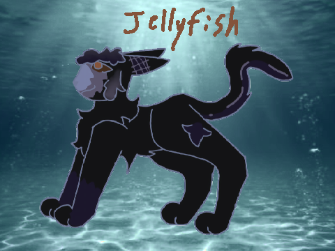  ❝ we all pretend to be the hero's on the good side ❞ jellyfish application
