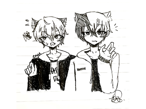 akitoya cats