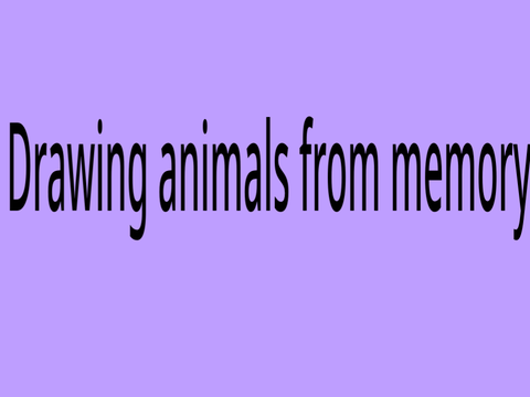 Drawing animals from memory