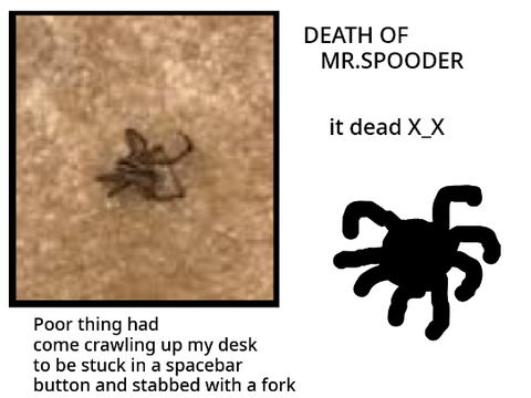 MR.SPOODER-FUNERAL
