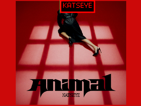 Animal KATSEYE