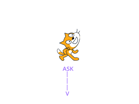 50 follower QNA questions.