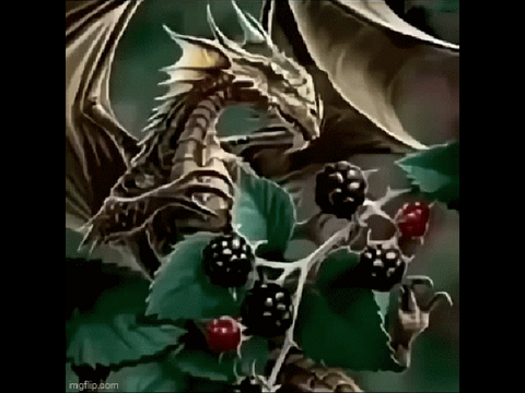 BlackBerry Dragon