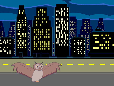 Owl tap!