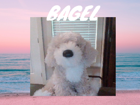 Bagel Stuffie!