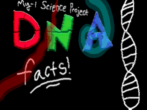 My-I Search Science Project!