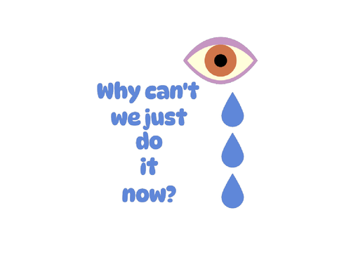Why can't we just do it now?