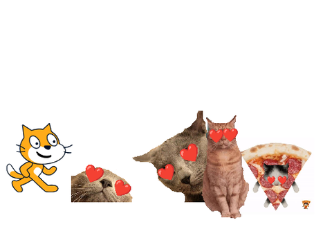 The cat dancing.