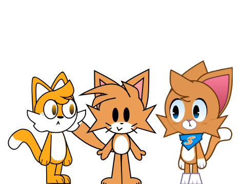 THREE Scratch Cats