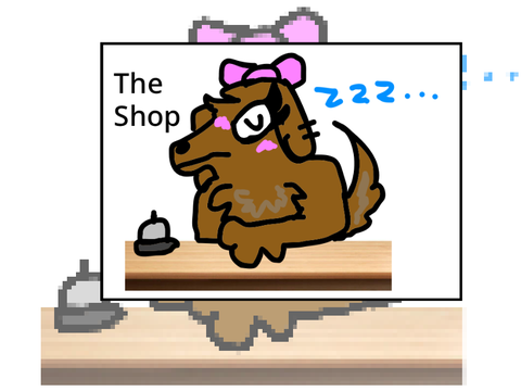 The shop