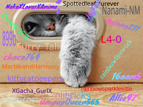 Remix if You Like Cats V.13