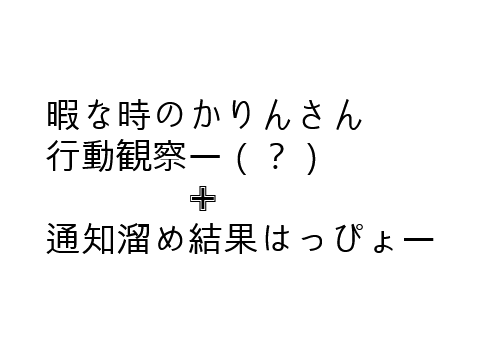 暇な時のかりんさん観察+通知溜め結果