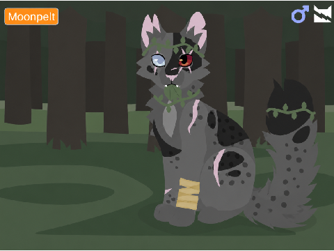 MY WARRIOR CATS OC!!!