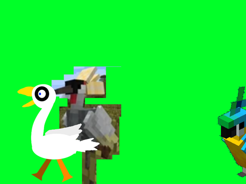 Birds Stampede