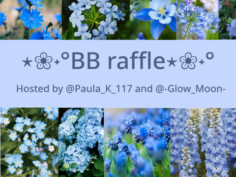 ⋆❀˖°BB raffle⋆❀˖°