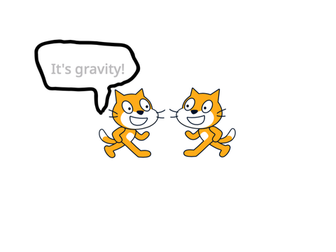 How Gravity Was Discovered