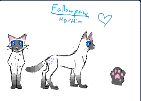 Fallowpaw - Wc oc !