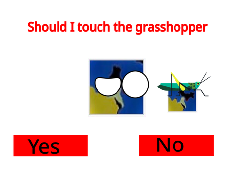 Should I touch the grasshopper 