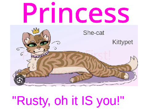 she-cats