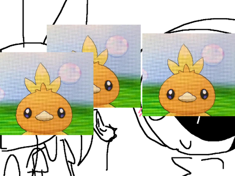 Torchic