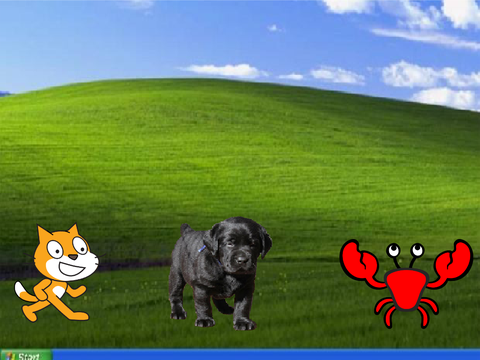 Kot , Pies i Krab vs Windows xp Part 1 (2017)