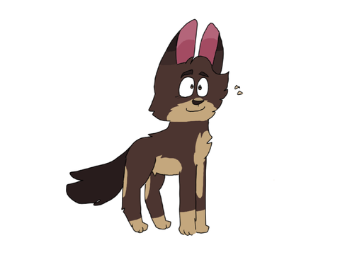 At with @woof_paw