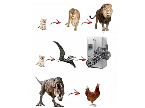 man, why did t-rexes evolve into chickens?