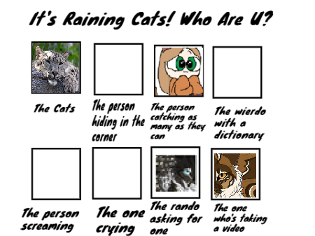 It's Raining Cats! Who Are U?  remix