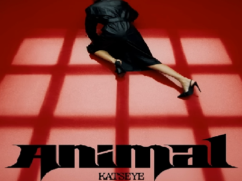 Animal By Katseye